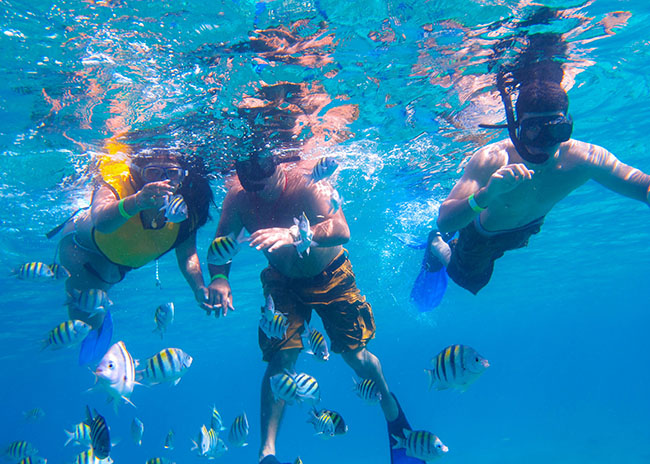 Myrna and her party looking at the fish they found near to the surface of the coral reef.